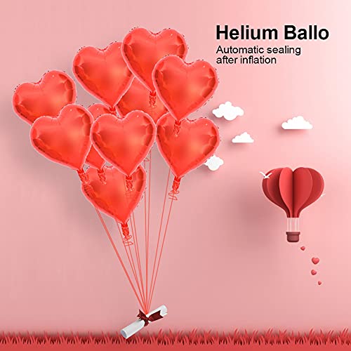 Zerodis Buntes Aluminiumfolienballon 10pcs 18 Zoll Herzballons für Geburtstagsfeierdekoration (#7) von Zerodis