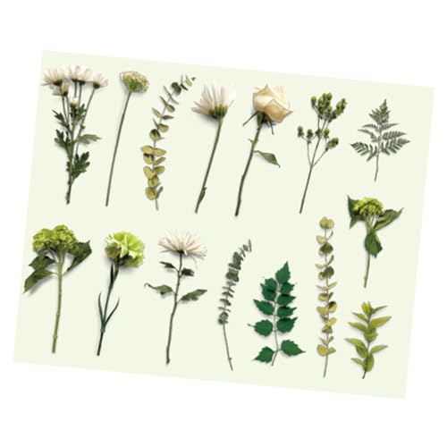 Zerodis Vintage-Pflanzen Blumen Aufkleber, Retro-Design-Kleberabziehbilder für Notebook-Scrapbooking, Vielseitige Dekoration mit Mehreren Verwendungen, Einfacher Anwendung und Lang Anhaltendes von Zerodis