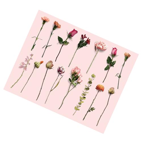 Zerodis Vintage-Pflanzen Blumen Aufkleber, Retro-Design-Kleberabziehbilder für Notebook-Scrapbooking, Vielseitige Dekoration mit Mehreren Verwendungen, Einfacher Anwendung und Lang Anhaltendes von Zerodis