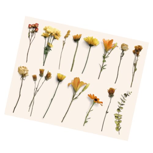 Zerodis Vintage-Pflanzen Blumen Aufkleber, Retro-Design-Kleberabziehbilder für Notebook-Scrapbooking, Vielseitige Dekoration mit Mehreren Verwendungen, Einfacher Anwendung und Lang Anhaltendes von Zerodis