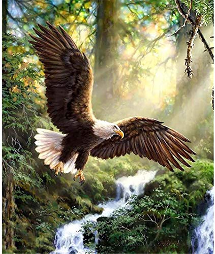 Zeyevan DIY Diamond Painting, komplett, Motiv: Adler, 5D-Diamant-Stickerei, komplettes Set, Tiermotiv, Wald, Kreuzstich, Strass, Stickerei, Handwerk, für Zuhause, Wanddekoration, 30 x 40 cm Zeyevan DIY Diamond Painting, komplett, Motiv: Adler, 5D-Diamant-Stickerei, komplettes Set, Tiermotiv, Wald, Kreuzstich, Strass, Stickerei, Handwerk, für Zuhause, Wanddekoration, 30 x 40 cm von Zeyevan