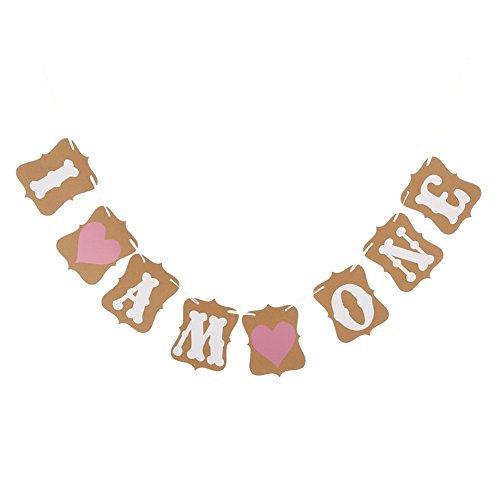 Zhiheng Wimpelkette mit Aufschrift "I Am One", Kraftkarten-Girlande zum Aufhängen für den 1. Geburtstag, Babyparty, Vintage + Pink von Zhiheng