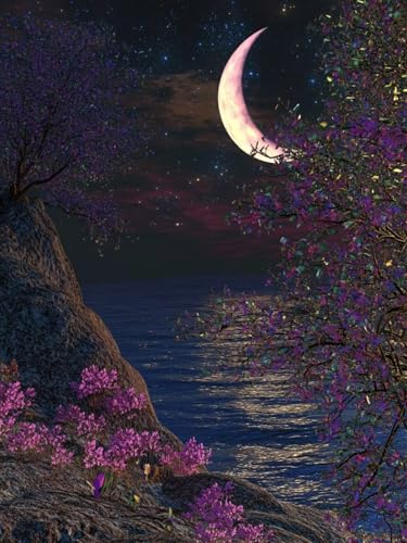Mond Diamond Painting Erwachsene, 5D Landschaft Diamant Painting Bilder Kinder Anfänger, DIY Vollbohrer Diamanten Malerei Stickerei Kreuzstich Basteln Mädchen, für Home Wand Dekor 100x150 cm W-308 Mond Diamond Painting Erwachsene, 5D Landschaft Diamant Painting Bilder Kinder Anfänger, DIY Vollbohrer Diamanten Malerei Stickerei Kreuzstich Basteln Mädchen, für Home Wand Dekor 100x150 cm W-308 von Zhlpjecc