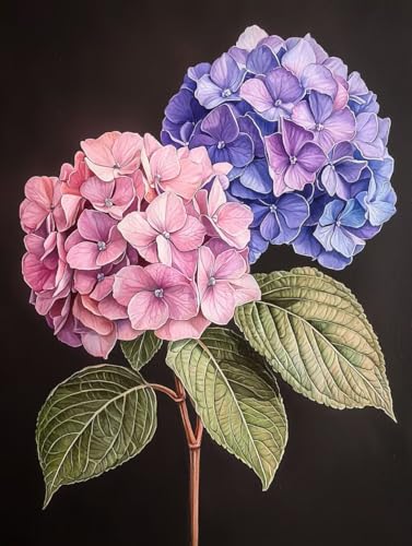 Diamond Painting Blume, Diamond Painting Eckige Steine Set Anlage, 5D Diamant Malerei Erwachsene und Kinder Set, DIY Mosaikherstellung Basteln Erwachsene, für Haus Wand Decor und Geschenk 60X80cm R-03 Diamond Painting Blume, Diamond Painting Eckige Steine Set Anlage, 5D Diamant Malerei Erwachsene und Kinder Set, DIY Mosaikherstellung Basteln Erwachsene, für Haus Wand Decor und Geschenk 60X80cm R-03 von Zhngxogg