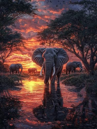 Diamond Painting Elefant, 5D Diamond Painting Erwachsene kinder Bilder, Tier Crystal Art Basteln Erwachsene Set, DIY Runde Mosaikherstellung Bastelset für Weihnachten Wand Dekor Geschenk 60X80cm Q-25 von Zhngxogg