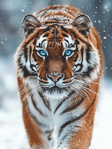 Diamond Painting Tiger, 5D Diamond Painting Erwachsene kinder Bilder, Tier Crystal Art Basteln Erwachsene Set, DIY Runde Mosaikherstellung Bastelset für Weihnachten Wand Dekor Geschenk 80X110cm W-65 Diamond Painting Tiger, 5D Diamond Painting Erwachsene kinder Bilder, Tier Crystal Art Basteln Erwachsene Set, DIY Runde Mosaikherstellung Bastelset für Weihnachten Wand Dekor Geschenk 80X110cm W-65 von Zhngxogg