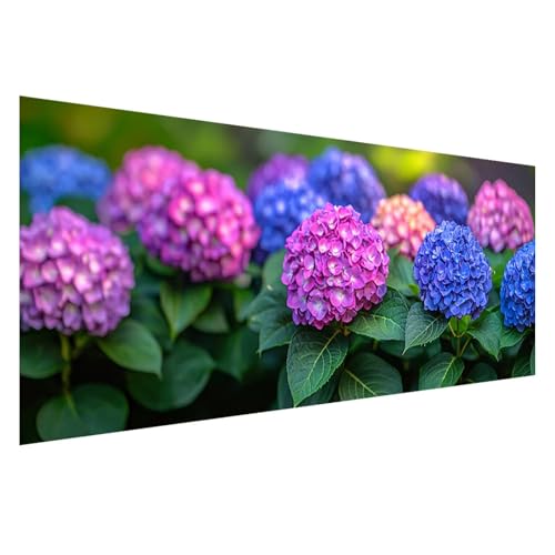 Diamond Painting 100x40 cm, 5D Diamant Painting Bilder Blume Diamant Art Malerei Hortensie, DIY Eckige Steine Stickerei Kreuzstich Bastelset Erwachsene für Zimmer Deko, Geschenke für Frauen Z0-27 Diamond Painting 100x40 cm, 5D Diamant Painting Bilder Blume Diamant Art Malerei Hortensie, DIY Eckige Steine Stickerei Kreuzstich Bastelset Erwachsene für Zimmer Deko, Geschenke für Frauen Z0-27 von Zhngzoyn