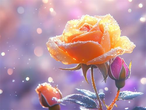Diamond Painting Blume Diamant Painting Bilder Erwachsene Rose, Basteln Mädchen 8 9 10 Jahre, Diamond Art Eckige Steine, DIY Diamant Malerei Bastelset Erwachsene für Deko Wohnzimmer 40x30 cm X-4 von Zhngzoyn
