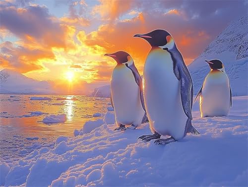Diamond Painting Pinguin Diamant Painting Bilder Erwachsene Tier, Basteln Mädchen 8 9 10 Jahre, Diamond Art Eckige Steine, DIY Diamant Malerei Bastelset Erwachsene für Deko Wohnzimmer 40x30 cm K-9 von Zhngzoyn