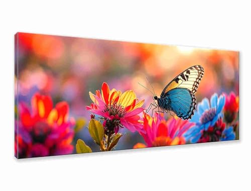Diamond Painting XXL 125x50 cm, 5D Diamant Painting Bilder Schmetterling Diamant Art Malerei Blume, DIY Runde Crystal Stickerei Kreuzstich Bastelset Erwachsene für Zimmer Deko,Geschenke für Frauen C-3 Diamond Painting XXL 125x50 cm, 5D Diamant Painting Bilder Schmetterling Diamant Art Malerei Blume, DIY Runde Crystal Stickerei Kreuzstich Bastelset Erwachsene für Zimmer Deko,Geschenke für Frauen C-3 von Zhngzoyn