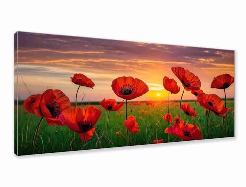 Diamond Painting XXL 175x70 cm, 5D Diamant Painting Bilder Blume Diamant Art Malerei Mohn, DIY Runde Crystal Stickerei Kreuzstich Kunst Bastelset Erwachsene für Zimmer Deko, Geschenke für Frauen P-8 Diamond Painting XXL 175x70 cm, 5D Diamant Painting Bilder Blume Diamant Art Malerei Mohn, DIY Runde Crystal Stickerei Kreuzstich Kunst Bastelset Erwachsene für Zimmer Deko, Geschenke für Frauen P-8 von Zhngzoyn