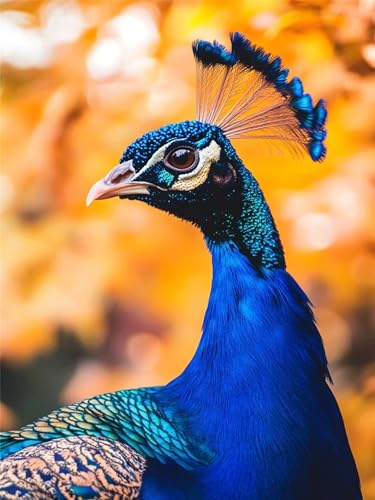 5D Diamond Painting Pfau, Tier Diamond Painting Erwachsene, 5D DIY Diamant Kunst Malerei Kinder Anfänger Crystal Art Stickerei Mosaikherstellung Malerei Set für Zimmer Wand Dekor 80x100cm, Model171 5D Diamond Painting Pfau, Tier Diamond Painting Erwachsene, 5D DIY Diamant Kunst Malerei Kinder Anfänger Crystal Art Stickerei Mosaikherstellung Malerei Set für Zimmer Wand Dekor 80x100cm, Model171 von Zhnncfgg