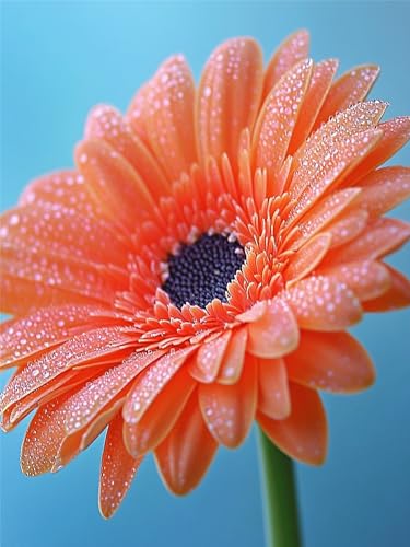 Blumen Diamond Painting Erwachsene, Diamant Painting Bilder Modern 40x50cm, 5D DIY Diamant Art Malerei Kinder Crystal Stickerei Mosaikherstellung Malerei Set für Wandeko, Geschenke für Frauen,Model178 von Zhnncfgg