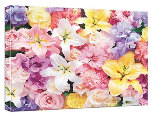 Malen Nach Zahlen Erwachsene Farbe Malen Nach Zahlen Blume Paint by Numbers DIY GemäLde Kit 3 Maler Pinsel und Acrylpigment, Kreatives für Erwachsene Geschenk Anfänger für Home Decor, 50x70cm,Model667 Malen Nach Zahlen Erwachsene Farbe Malen Nach Zahlen Blume Paint by Numbers DIY GemäLde Kit 3 Maler Pinsel und Acrylpigment, Kreatives für Erwachsene Geschenk Anfänger für Home Decor, 50x70cm,Model667 von Zhnncfgg