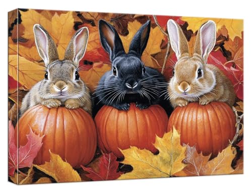 Malen Nach Zahlen Erwachsene Kaninchen, Paint by Numbers Adult DIY Set Erwachsene Malen Nach Zahlen Kürbis mit 3 Pinsel und Acrylpigment Kit für Anfänger Home Dekor, Ohne Rahmen 40x50cm, Model671 Malen Nach Zahlen Erwachsene Kaninchen, Paint by Numbers Adult DIY Set Erwachsene Malen Nach Zahlen Kürbis mit 3 Pinsel und Acrylpigment Kit für Anfänger Home Dekor, Ohne Rahmen 40x50cm, Model671 von Zhnncfgg