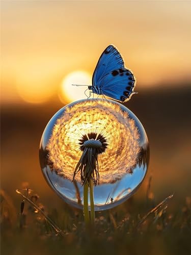 Schmetterling Diamond Painting Erwachsene, Diamant Painting Bilder Sonnenuntergang 60x80cm, 5D DIY Diamant Art Malerei Kinder Crystal Stickerei Malerei Set für Wandeko, Geschenke für Frauen, Model406 von Zhnncfgg