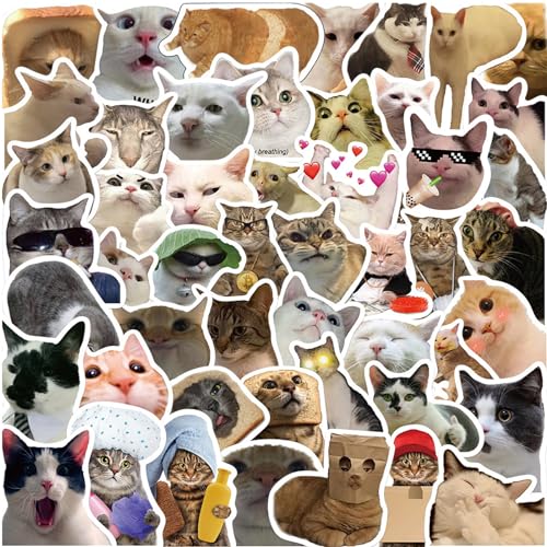 Zhtulck Katzen Stickers, 50 Stück Cute Sticker, Lustiges Katzen Aufkleber Set,Wasserdichte Vinyl Aufkleber für Laptop Telefon Gitarre Skateboard Computer Katzenliebhaber von Zhtulck