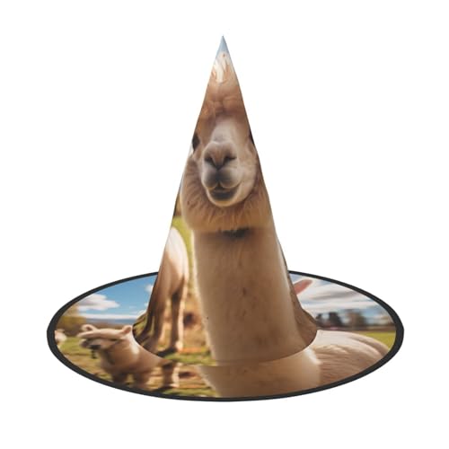 Zhuanyun Niedlicher Lama-Druck, Halloween-Hut, Halloween-Kostüm, Zubehör, Kopfschmuck, Partyzubehör, Hexenhut Zhuanyun Niedlicher Lama-Druck, Halloween-Hut, Halloween-Kostüm, Zubehör, Kopfschmuck, Partyzubehör, Hexenhut von Zhuanyun