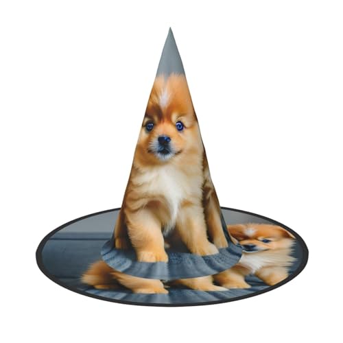 Zhuanyun Zwergspitz-Welpen und Punkt-Druck Halloween Hut Halloween Kostüm Zubehör Kopfschmuck Party Zubehör Hexenhut von Zhuanyun