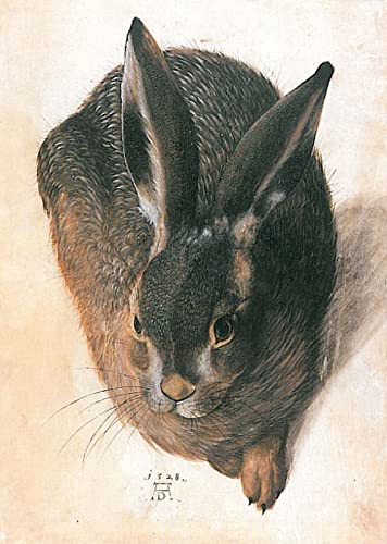 Zhyaunz 5D DIY Diamant Malerei Kits Albrecht Dürer Junger Hase Diamond Painting Kreuzstich Mosaik Stickerei Strass Volle Runde Bohrer Manuelle Hobby Kunst Geschenk 30x40cm Zhyaunz 5D DIY Diamant Malerei Kits Albrecht Dürer Junger Hase Diamond Painting Kreuzstich Mosaik Stickerei Strass Volle Runde Bohrer Manuelle Hobby Kunst Geschenk 30x40cm von Zhyaunz
