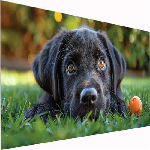 5D Diamond Painting XXL 50x100cm,Ball Diamond Painting Erwachsene kinder Tier DIY Mosaikherstellung Bastelset Quadrat Vollbohrer Diamanten Malerei Stickerei Kreuzstich für Wand Decorideen Z1-117 5D Diamond Painting XXL 50x100cm,Ball Diamond Painting Erwachsene kinder Tier DIY Mosaikherstellung Bastelset Quadrat Vollbohrer Diamanten Malerei Stickerei Kreuzstich für Wand Decorideen Z1-117 von Zhynfiie