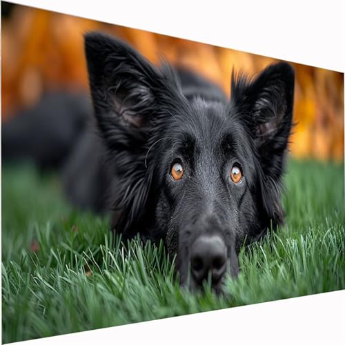 Diamond Painting Anlage, Hund Diamond Painting Erwachsene Bilder Kit 5D DIY Diamonds Bastelset, Quadrat Diamanten Malerei Stickerei Kreuzstich für Beginner für Home Wand Dekor Geschenk40x80cm Z1-116 Diamond Painting Anlage, Hund Diamond Painting Erwachsene Bilder Kit 5D DIY Diamonds Bastelset, Quadrat Diamanten Malerei Stickerei Kreuzstich für Beginner für Home Wand Dekor Geschenk40x80cm Z1-116 von Zhynfiie