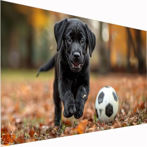 Diamond Painting Tier, Ball Diamond Painting Erwachsene Bilder Kit 5D DIY Diamonds Bastelset, Quadrat Vollbohrer Diamanten Malerei Stickerei Kreuzstich für Beginner für Home Wand Dekor 30x60cm Z1-118 von Zhynfiie