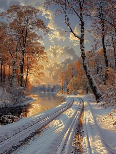 Landschaft Diamond Painting Winter Diamant Painting Bilder, Diamanten Malerei Erwachsene Kinder DIY 5D Vollbohrer Kristall Stickerei Kreuzstich Bastelset, Zimmer Deko Wohnzimmer Geschenk 40x50cm -h211 Landschaft Diamond Painting Winter Diamant Painting Bilder, Diamanten Malerei Erwachsene Kinder DIY 5D Vollbohrer Kristall Stickerei Kreuzstich Bastelset, Zimmer Deko Wohnzimmer Geschenk 40x50cm -h211 von Zhyolei