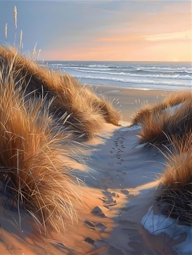 Meer Malen Nach Zahlen Strand Malen Nach Zahlen Erwachsene mit Rahmen Handgemalt Olgemälde Set Mit 3 - Pinseln und Acrylfarbe Farbige Leinwand Paint by Numbers Adult Deko Wohnzimmer 100x135cm -y30G von Zhyolei