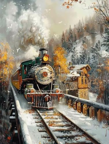 Zug Diamond Painting Winter Diamond Painting Erwachsene Anfänger DIY 5D Vollbohrer Kristall Stickerei Kreuzstich Bilder Bastelset mit Vollständigem Zubehörm, Home Wand Deko Geschenke 30x40cm -75z9 von Zhyolei