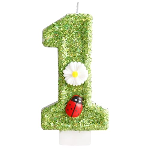 Geburtstagskerzen, Motiv: grüner Marienkäfer, weiße Gänseblümchen, 1. Geburtstag, Zahlenkerzen für Kuchendekoration, Geburtstagsparty, Hochzeitstag, Feier Geburtstagskerzen, Motiv: grüner Marienkäfer, weiße Gänseblümchen, 1. Geburtstag, Zahlenkerzen für Kuchendekoration, Geburtstagsparty, Hochzeitstag, Feier von Zi Lan