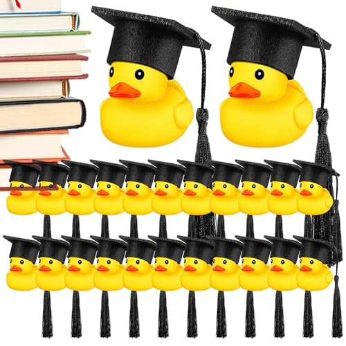 Ruot Du Circolo Delle Quinte – Circolo Delle Quinte – Circolo Delle Quinte Ruota, Werkzeuge zum Gitarrenlernen | Werkzeug für Musikstimme Ruot Du Circolo Delle Quinte – Circolo Delle Quinte – Circolo Delle Quinte Ruota, Werkzeuge zum Gitarrenlernen | Werkzeug für Musikstimme von Ziennhu