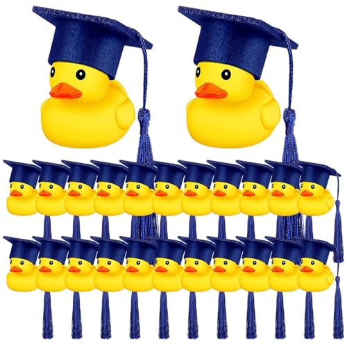 Ruot Du Circolo Delle Quinte – Circolo Delle Quinte – Circolo Delle Quinte Ruota, Werkzeuge zum Gitarrenlernen | Werkzeug für Musikstimme Ruot Du Circolo Delle Quinte – Circolo Delle Quinte – Circolo Delle Quinte Ruota, Werkzeuge zum Gitarrenlernen | Werkzeug für Musikstimme von Ziennhu
