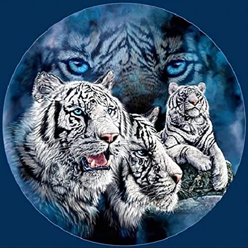 Ziiajune DIY 5D Diamond Painting Kits Tiger, Diamant Malerei, Kreuzstich-Stickerei, Tiermotiv, Strass, komplett, Kunst, für Malerei, Wohnzimmer, Schlafzimmer, Dekoration, Wandtattoo, 30 x 30 cm Ziiajune DIY 5D Diamond Painting Kits Tiger, Diamant Malerei, Kreuzstich-Stickerei, Tiermotiv, Strass, komplett, Kunst, für Malerei, Wohnzimmer, Schlafzimmer, Dekoration, Wandtattoo, 30 x 30 cm von Ziiajune