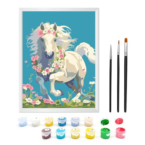Zimrobin Malen Nach Zahlen ab 5 6 7 Jahre Mädchen und Junge, Malen Nach Zahlen für Kinder mit Rahmen 3 Pinsel und Acrylfarben, 18 X 24cm(Pony in den Blumen) von Zimrobin