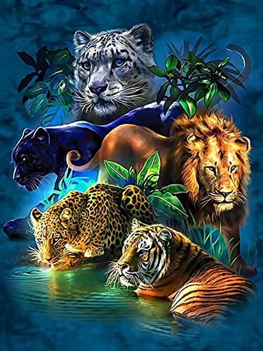 5D Diamant Malerei Full Kit, DIY Diamant Malerei nach Zahlen Kits 5d diamond painting Full Drill Strass Kristall Stickerei Bilder Kreuzstich für Home Wall Decor Geschenk 11.8 * 15.7 Zoll von Zingso