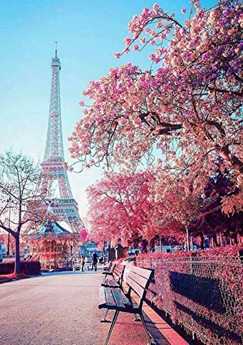 5D Diamant Malerei Full Kit, DIY Diamant Malerei nach Zahlen Kits 5d diamond painting Full Drill Strass Kristall Stickerei Bilder Kreuzstich für Home Wall Decor Geschenk 11.8 * 15.7 Zoll 5D Diamant Malerei Full Kit, DIY Diamant Malerei nach Zahlen Kits 5d diamond painting Full Drill Strass Kristall Stickerei Bilder Kreuzstich für Home Wall Decor Geschenk 11.8 * 15.7 Zoll von Zingso