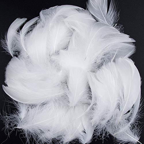 35 Federn Weiße,300 PCS Gänsefedern für Basteln Natürliche Federn Deko Federn für DIY Traumfänger Hüte Kostüm Millinery Home Party Decor Hochzeits Dekorationen 35 Federn Weiße,300 PCS Gänsefedern für Basteln Natürliche Federn Deko Federn für DIY Traumfänger Hüte Kostüm Millinery Home Party Decor Hochzeits Dekorationen von Ziranee