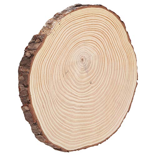 Holzscheiben – Holzscheiben, unlackierte Holzkreise, Ornamente, unregelmäßige Holzscheiben mit Rinde (22,5 x 23 cm) von Zisemeil