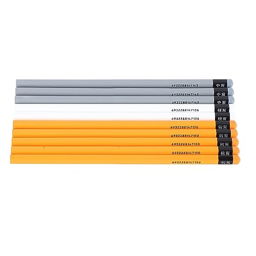 Zisemeil Skizzenstift-Set, 10 sichere Kohlestifte, leicht zu färben, verhindert Beschädigungen, für Kritzeleien für Künstler Zisemeil Skizzenstift-Set, 10 sichere Kohlestifte, leicht zu färben, verhindert Beschädigungen, für Kritzeleien für Künstler von Zisemeil