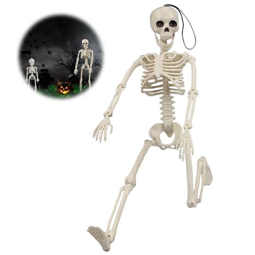 Halloween Skelett, Halloween Skelett Deko, Hängende Skelett Dekorationen, Halloween Skelette mit Beweglichen Gelenken, Halloween Menschliches Skelett für Halloween Dekoration Friedhof Szene Prop Halloween Skelett, Halloween Skelett Deko, Hängende Skelett Dekorationen, Halloween Skelette mit Beweglichen Gelenken, Halloween Menschliches Skelett für Halloween Dekoration Friedhof Szene Prop von Zkaoai