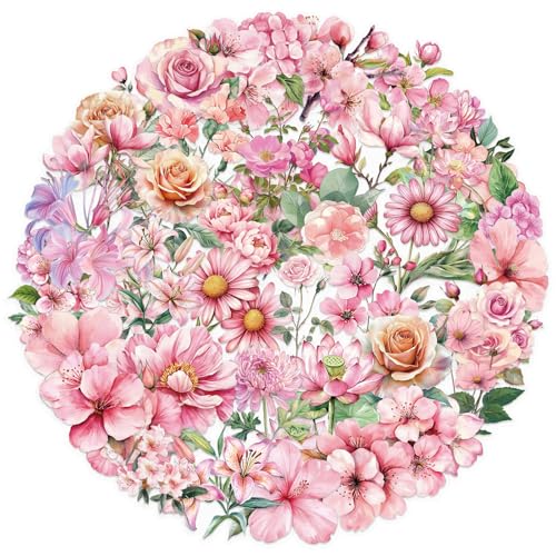 50 Blätter Blumenaufkleber Gitarre Aufkleber Kleber Wasserdichte Wasserflasche Aufkleber Schöner Dekorativer Aufkleber Für Scrapbooking 50 Blätter Blumenaufkleber Gitarre Aufkleber Kleber Wasserdichte Wasserflasche Aufkleber Schöner Dekorativer Aufkleber Für Scrapbooking von Zkydhbd