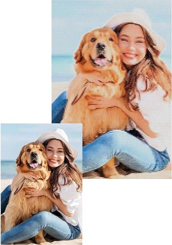 Zleiubisa Benutzerdefiniertes Kreuzstichmuster vom Foto, personalisiertes Design, 11-fädiger Kreuzstich, geprägter Stoff, Sticksets für Erwachsene und Anfänger von Zleiubisa
