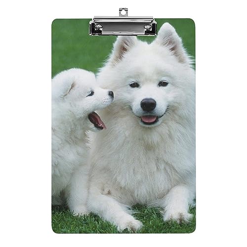 A4-Klemmbrett, Samojede-Hunde-Klemmbrett, Acryl-Klemmbretter für Büro, Schule A4-Klemmbrett, Samojede-Hunde-Klemmbrett, Acryl-Klemmbretter für Büro, Schule von Zltegako
