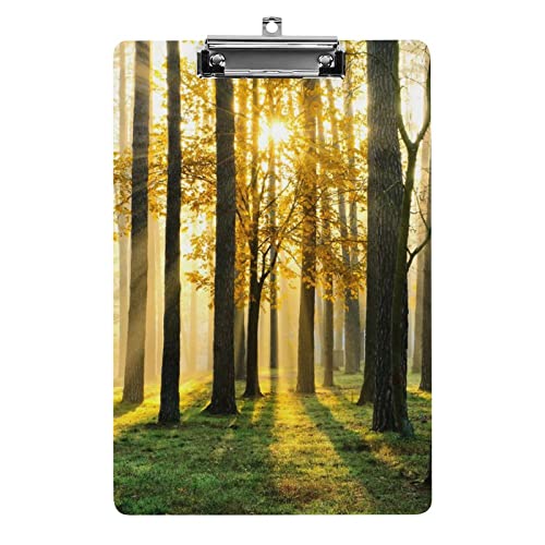 Klemmbrett mit Morgenszene, Wald mit Sonnenstrahlen, A4-Größe, lustiges ästhetisches Arbeiten, Studieren, Buchstaben, Standard-Klemmbrett, 31,8 x 21,6 cm, Hartfaserplatte für Schule, Klassenzimmer Klemmbrett mit Morgenszene, Wald mit Sonnenstrahlen, A4-Größe, lustiges ästhetisches Arbeiten, Studieren, Buchstaben, Standard-Klemmbrett, 31,8 x 21,6 cm, Hartfaserplatte für Schule, Klassenzimmer von Zltegako