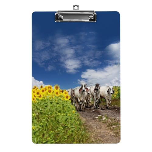 Lustiges Klemmbrett Kühe auf der Weide mit starkem Metallclip A4 Briefgröße Acryl Klemmbrett mit Loch zum Aufhängen Lustiges Klemmbrett Kühe auf der Weide mit starkem Metallclip A4 Briefgröße Acryl Klemmbrett mit Loch zum Aufhängen von Zltegako