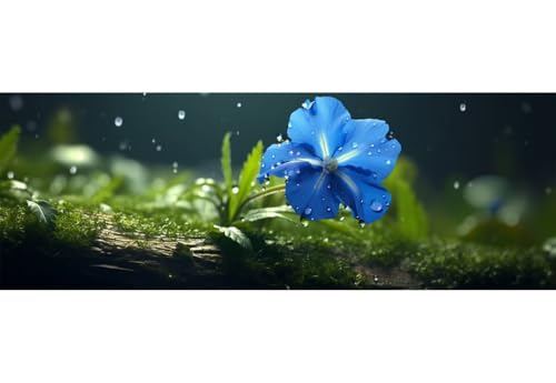 5D Diamond Painting Wald Blume Diamond Painting Erwachsene/Kinder, DIY Diamond Art Diamant Painting Bilder, Kristall Strass Diamant Malerei Basteln für Home Wand Décor, 19.6x51.1 Inch/50x130 cm 5D Diamond Painting Wald Blume Diamond Painting Erwachsene/Kinder, DIY Diamond Art Diamant Painting Bilder, Kristall Strass Diamant Malerei Basteln für Home Wand Décor, 19.6x51.1 Inch/50x130 cm von Znnegxiia