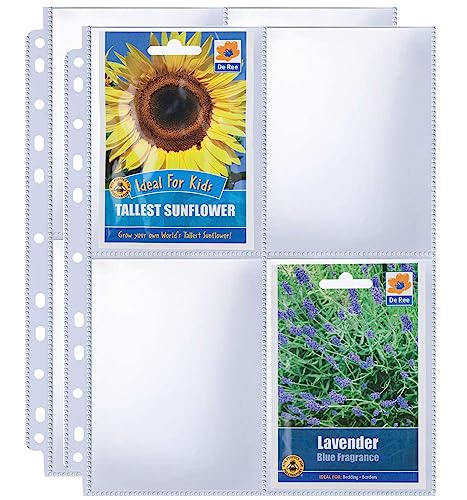 Samenhüllen, 240 Taschen, 8,9 x 12,7 cm, 30 Stück, doppelseitig, 4 Taschen, robuste Garten-Samen-Aufbewahrungsseiten für 3-Ringbuch, 21,6 x 27,9 cm, transparente Fotos, Karteikartenhüllen Samenhüllen, 240 Taschen, 8,9 x 12,7 cm, 30 Stück, doppelseitig, 4 Taschen, robuste Garten-Samen-Aufbewahrungsseiten für 3-Ringbuch, 21,6 x 27,9 cm, transparente Fotos, Karteikartenhüllen von Zofly