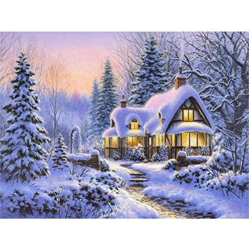 Diamond Painting Winterlandschaft,DIY Diamant Painting Bilder Full Kit,5D Diamant Malerei für Kinder und Erwachsene,Diamant Malerei Kreuzstich Wand Dekor Round Drill 60x80cm von Zolne