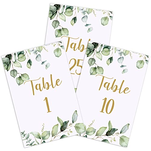 26 Stück Hochzeit Tischnummern Karten 1-25 mit Kopf Tischnummern Grün Eukalyptus Tischkarten Doppelseitige Party Tischnummern für Hochzeit Empfang Babyparty Geburtstag Brautparty (Gold) von Zonon